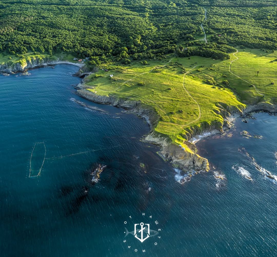 Днес, в международния ден на Черно море, обръщаме поглед към неговата дива, автентична красота и