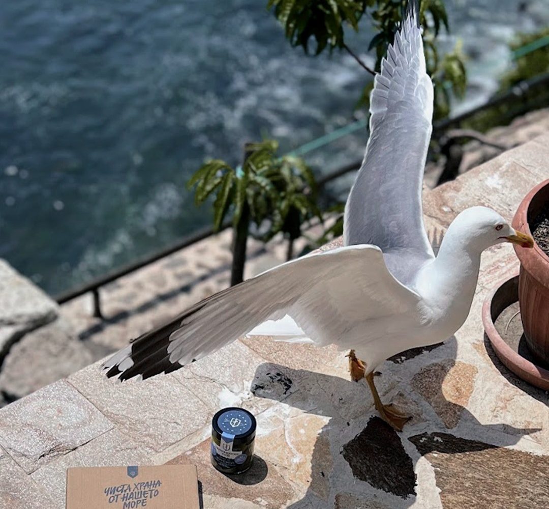 Измивате и последната сол от кожата ви, изтръсквате пясъка от обувките и за последно тази година