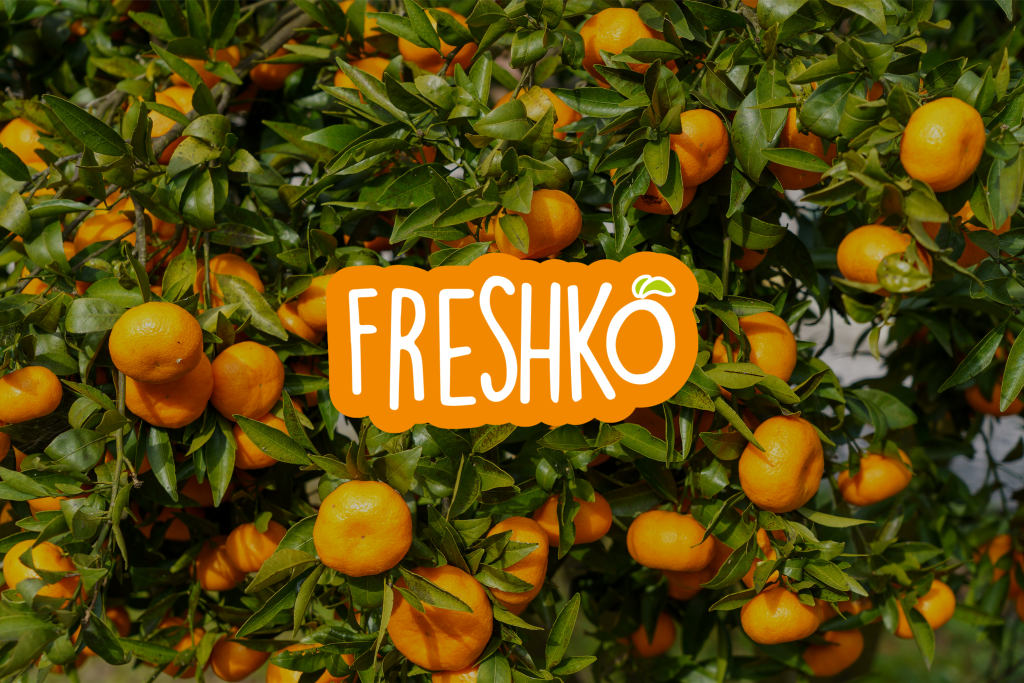 Freshko